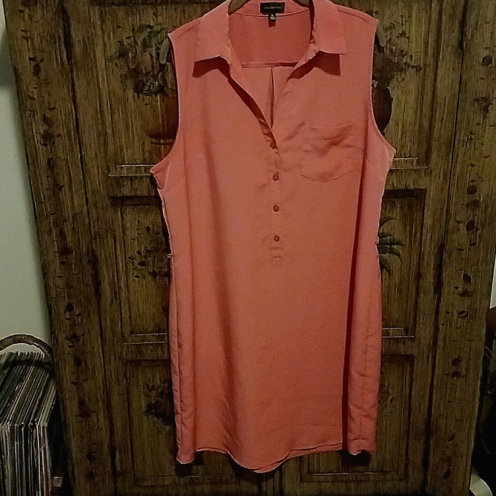 Silky Dress/Tunic ** (NWOT)